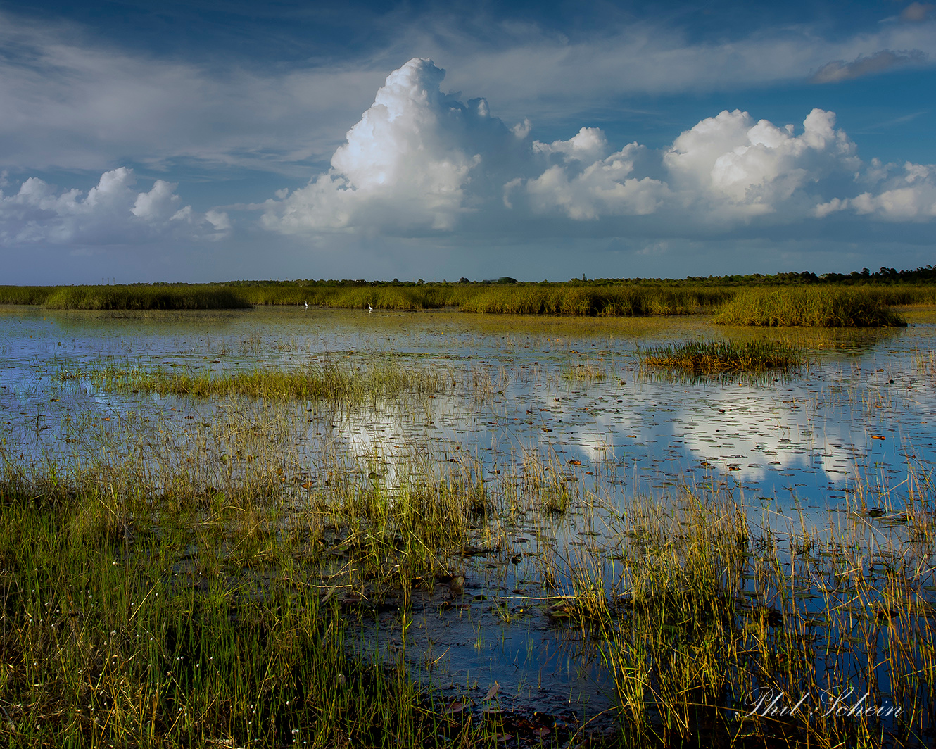 Wetlands