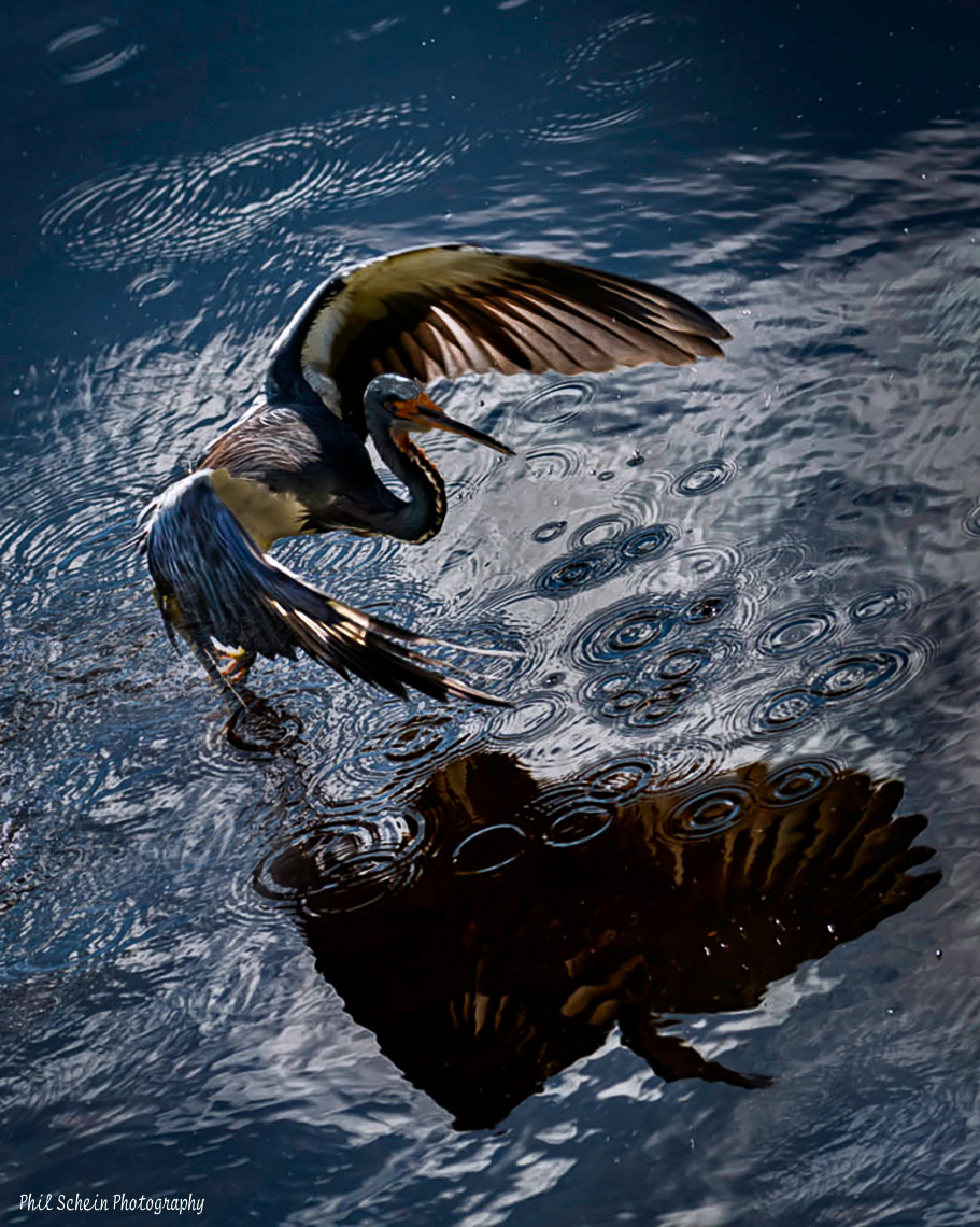 Shaddow on the water 4