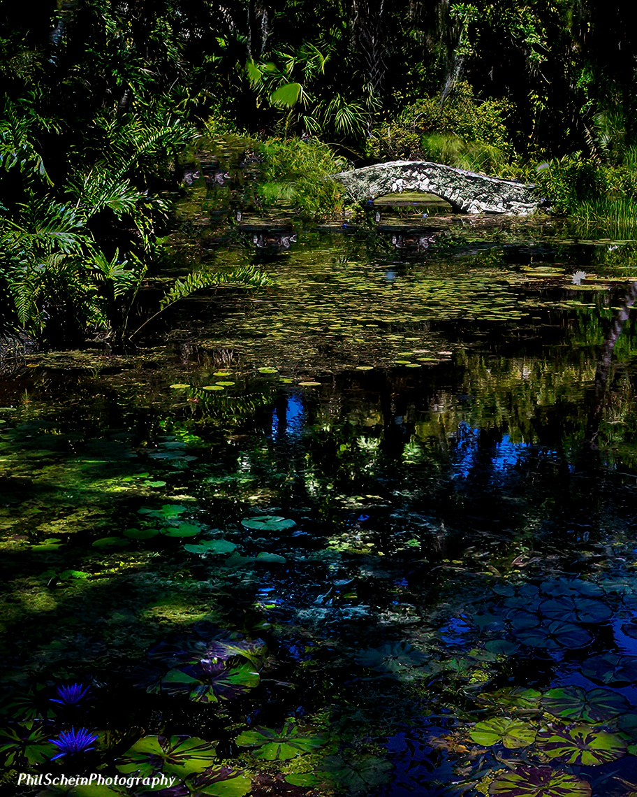 McKee pond