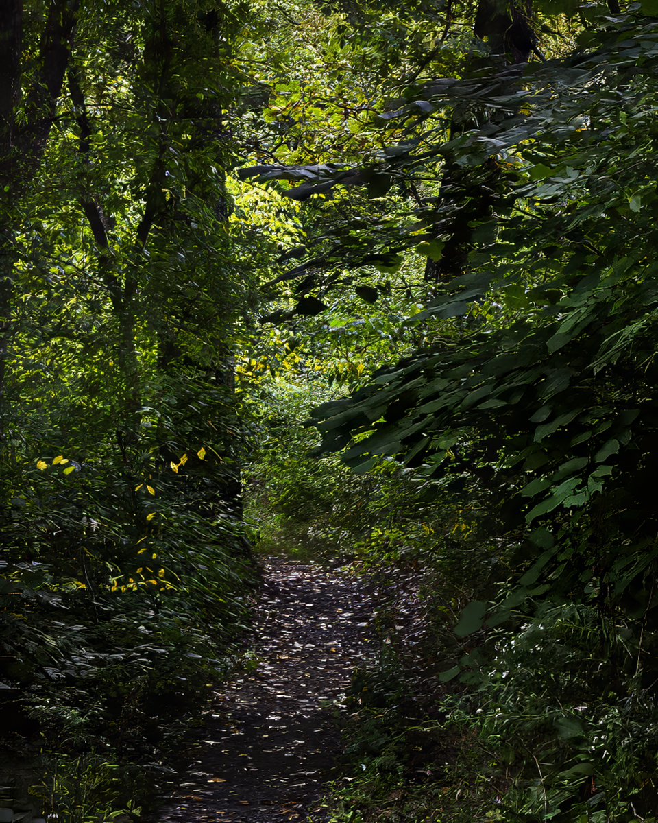 Brandywine jpeg