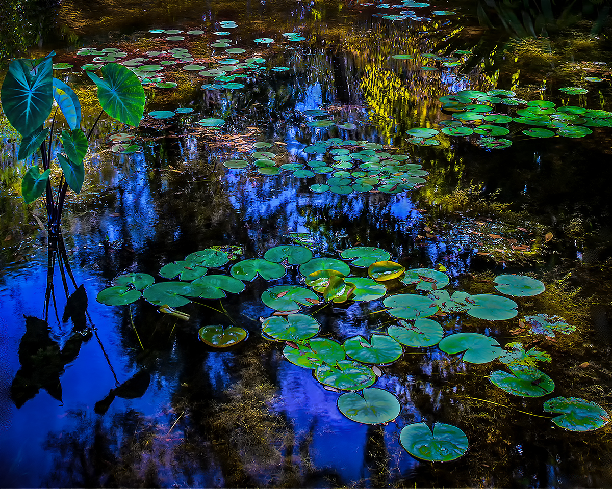 Homage to Monet jpeg